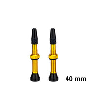 ZTTO tubeless valve stem packaging