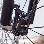 ZTTO disc brake - caliper detail